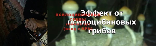 эйфоретик Белоозёрский