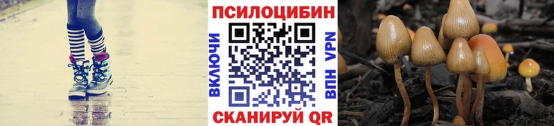 Псилоцибиновые грибы Cubensis Воскресенск